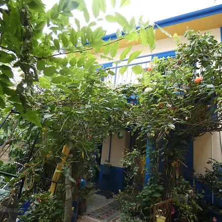 Maison De Arborée Avec Cachet Nanterre